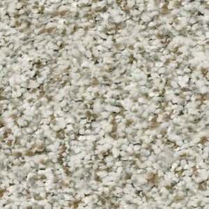 Shaw Carpet - Cabana Bay B - Winter