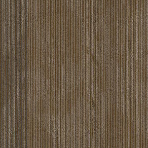 Philadelphia Queen Carpet - Declare - Front-Page - 24x24