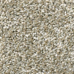 Shaw Carpet - All Over It - Raw Wood