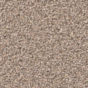 DreamWeaver Carpet - Broadcast PLUS - Cinder